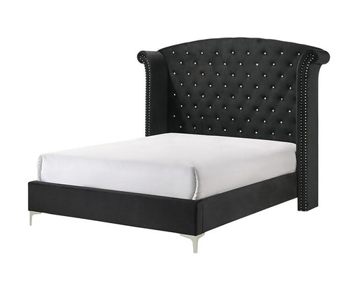 Crown Mark Furniture Lucinda Queen Upholstered Panel Bed in Black B9265-Q image