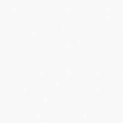 Bostwick Shoals Bedroom Mirror